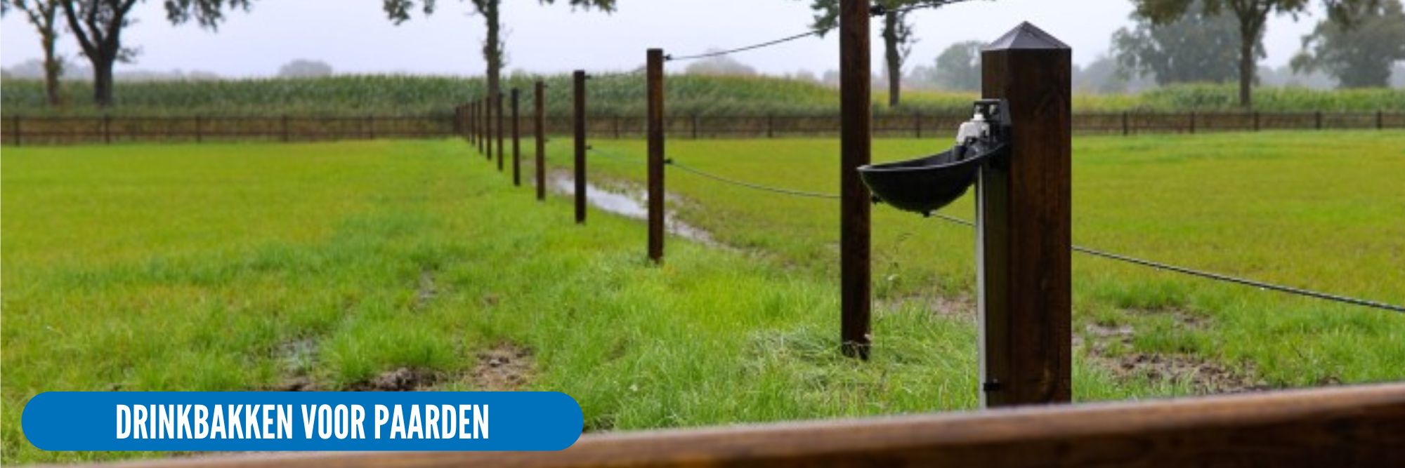 suevia drinkbakken voor paarden